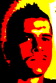capturelno.png