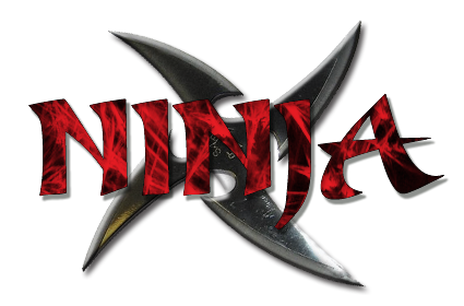 NinjaFaction3_2.png