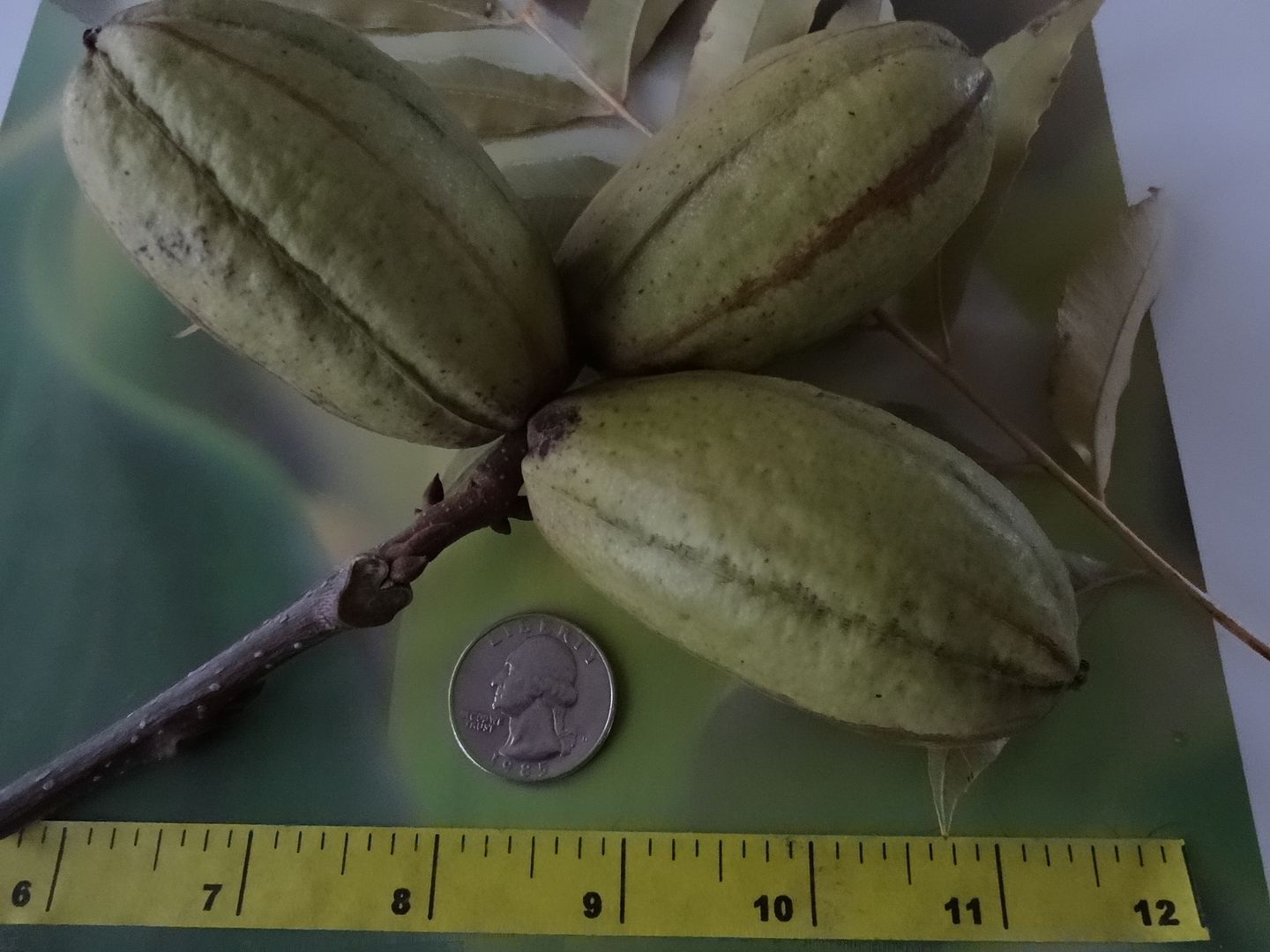 [DSC01803_zps74rnbnkt]