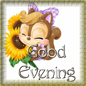 Good Evening Photo Picture