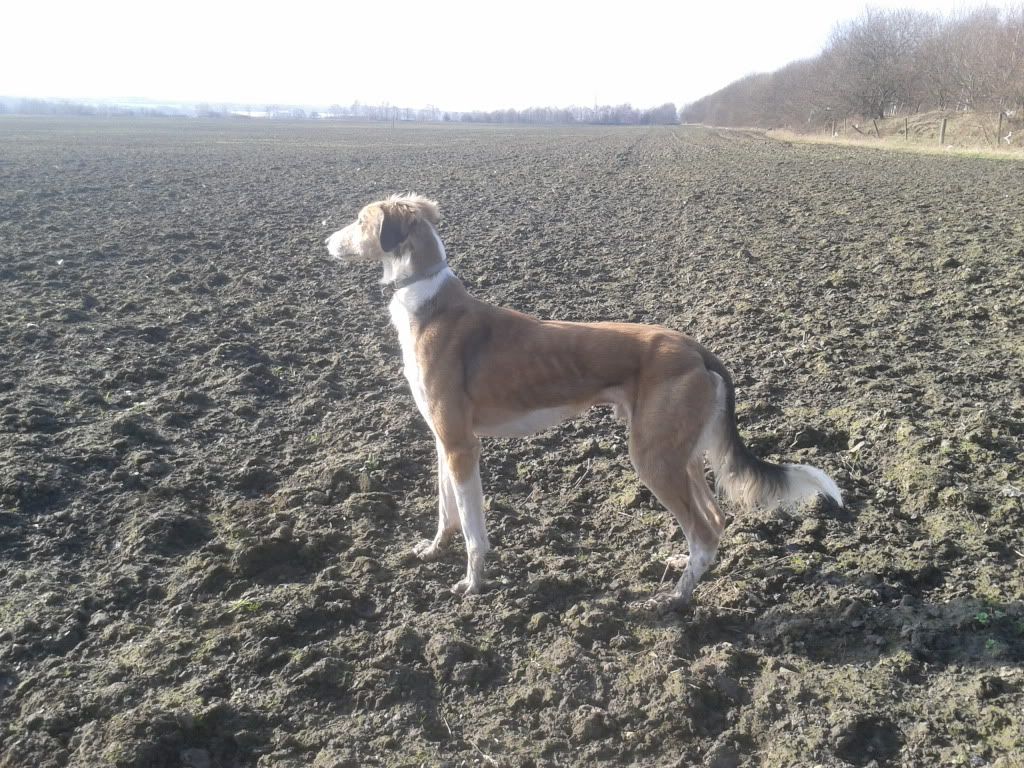 2012-03-01133207.jpg