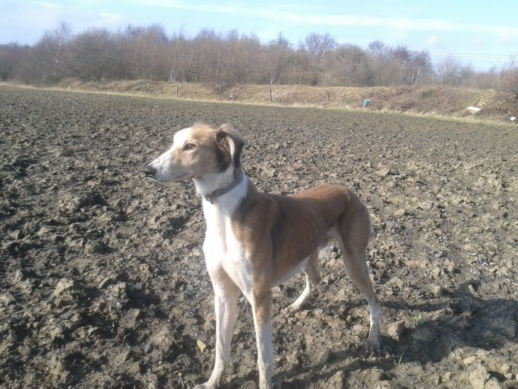 2012-03-01133250.jpg