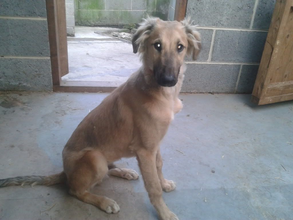 2012-03-22170231.jpg