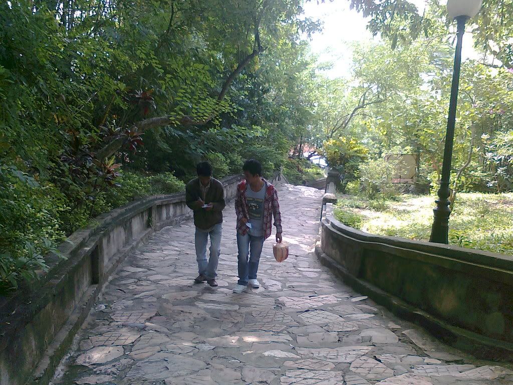 [IMG]