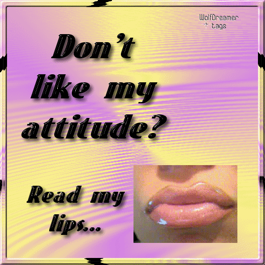 don't like my attitude read my lips