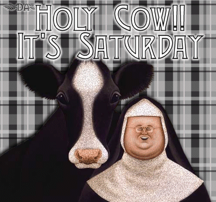 holy cow its saturday - nun