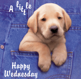 a little happy wednesday wish