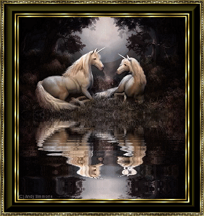 unicorns water reflection