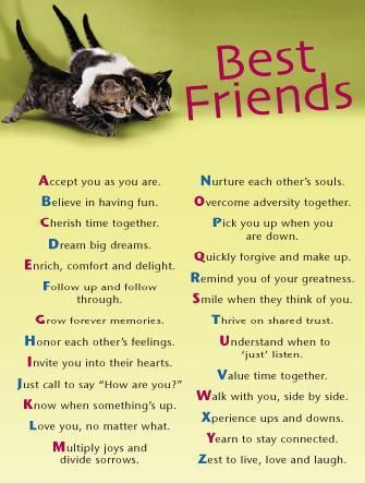 quotes on friendship and trust. friends friendship quotes;
