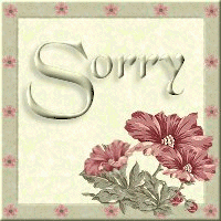 sorry flowers