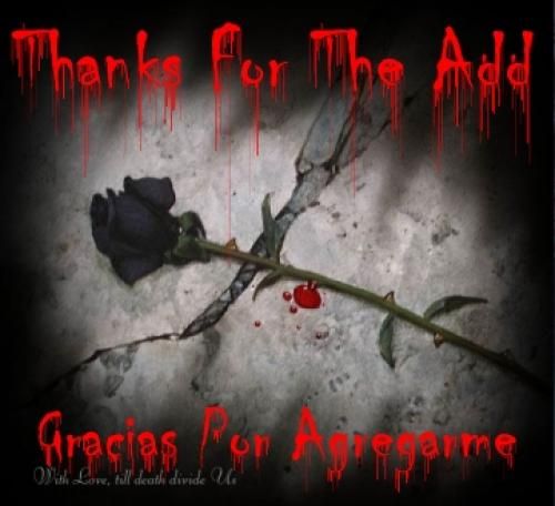thanks for the add gracias por agregarme black rose