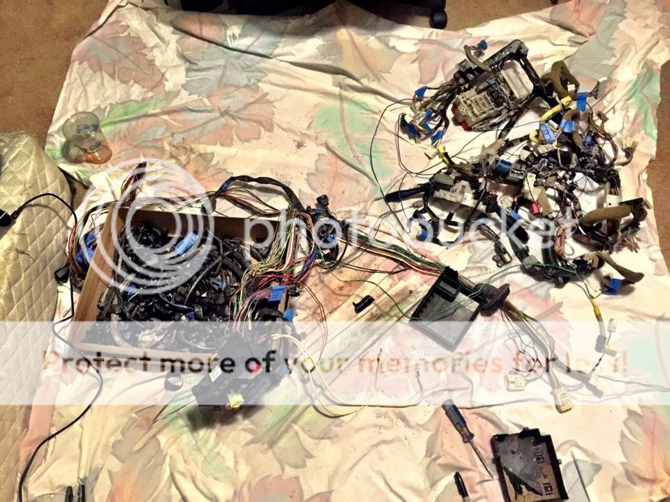 From the depths (fair amount of pics) - Page 7 - EvolutionM